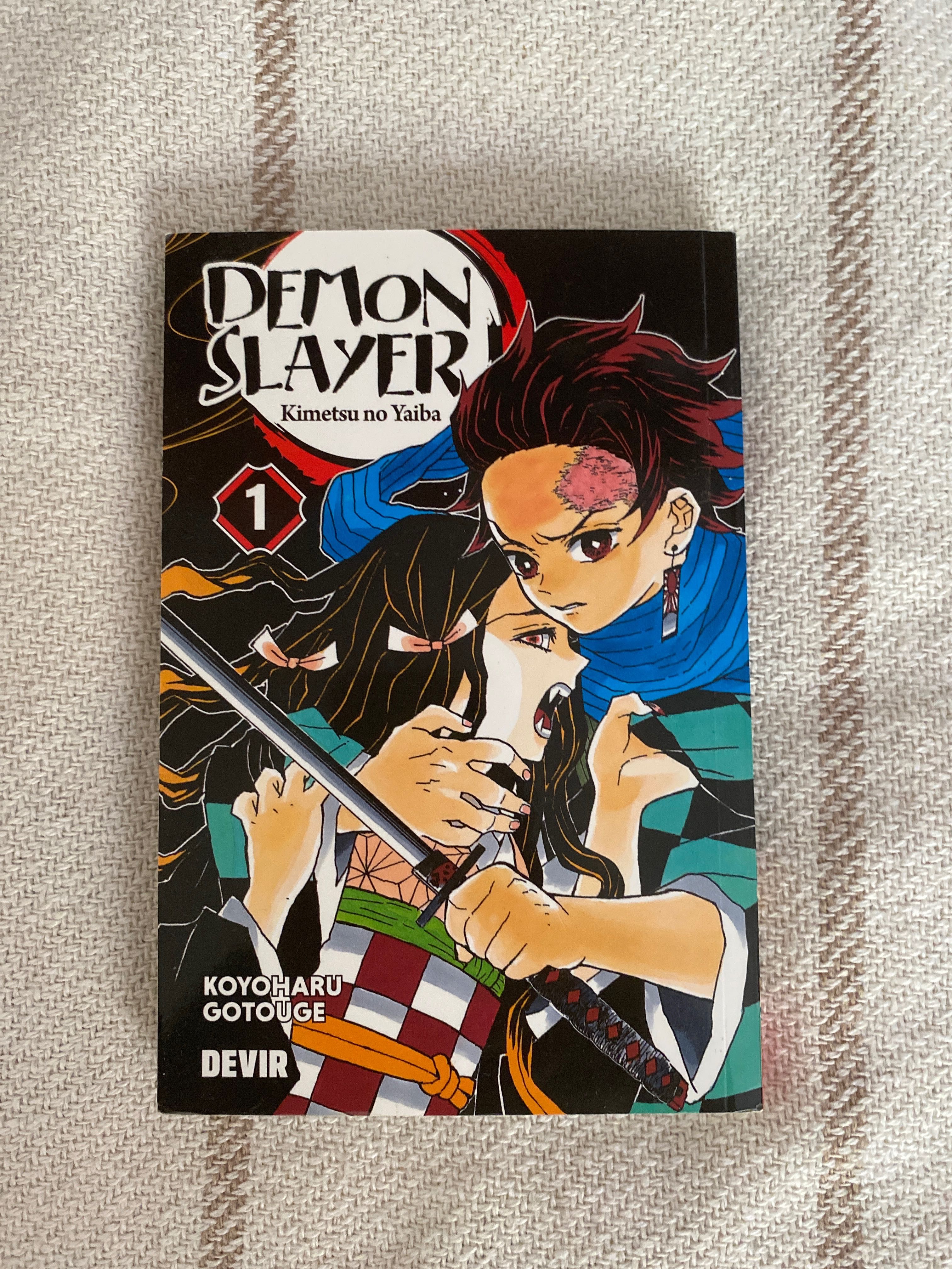 Demon Slayer (kimetsu no yaiba) 1 - 3 vol