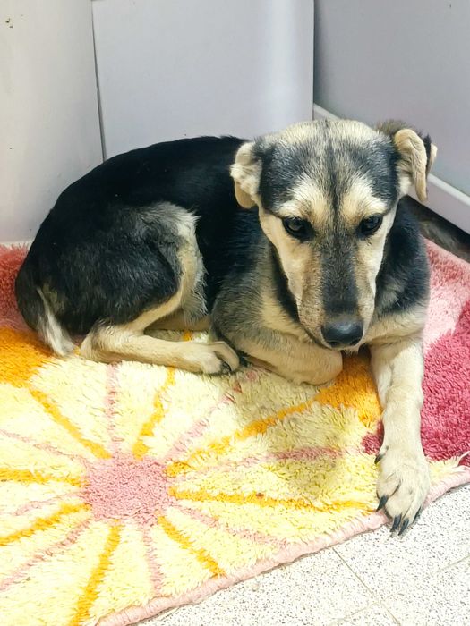 Zara, 6 месяцев, такая умная