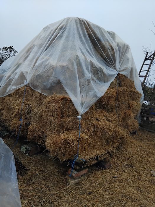 Baloți de fîn de vînzare Fibiș