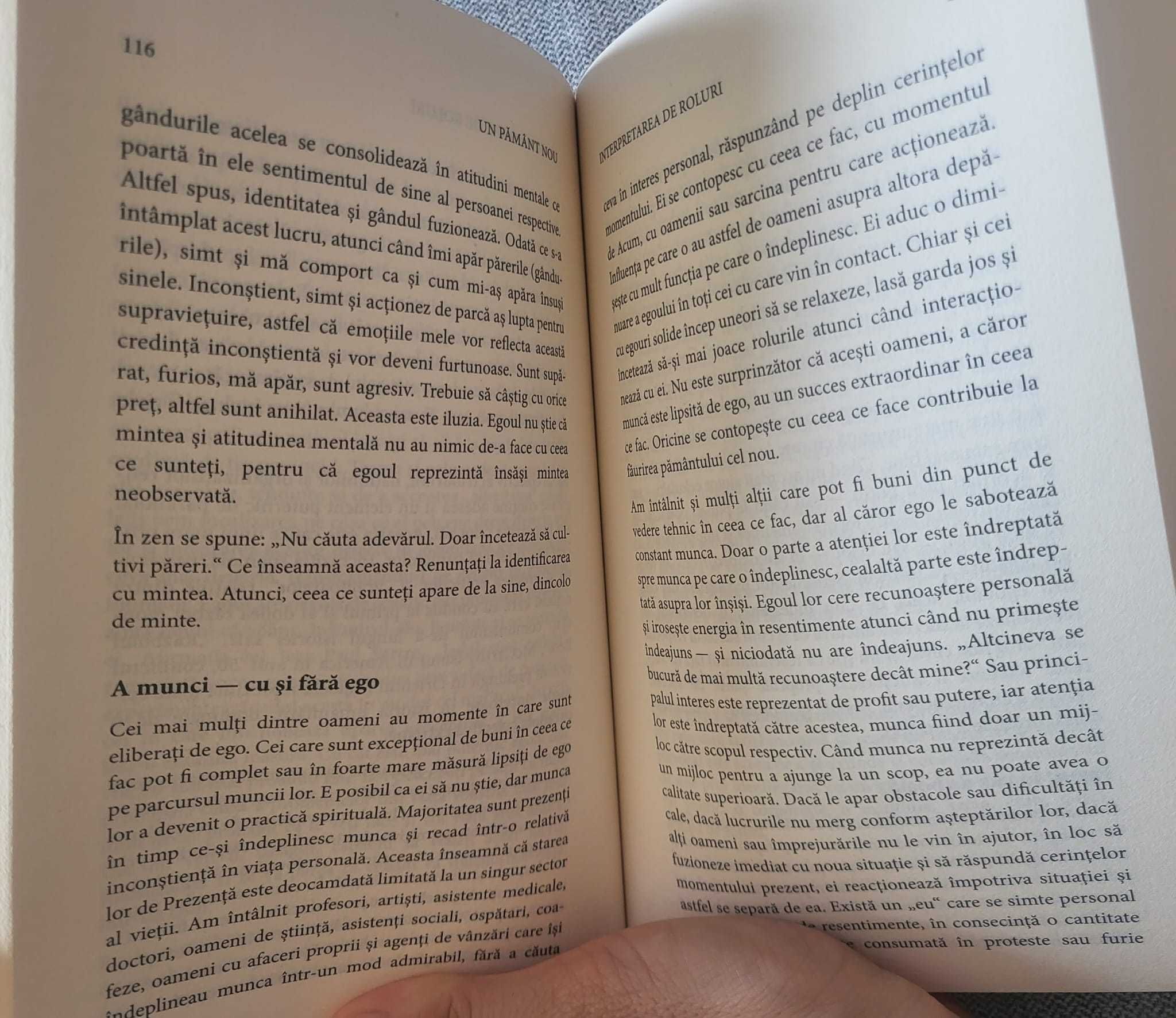 Carte UN PĂMÂNT NOU - eckhart TOLLE