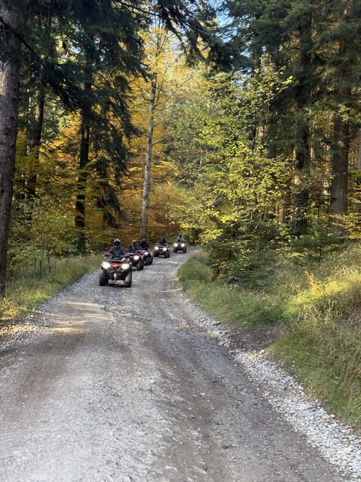 Inchirieri atv busteni