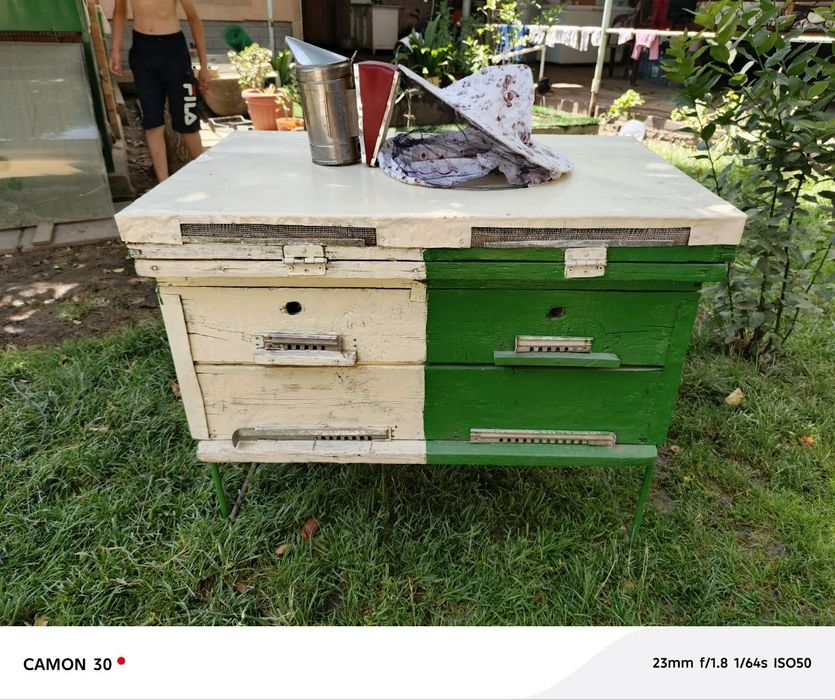 Asal ari uyasi. Komplekt