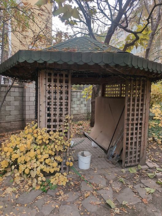 Беседка бесплатно