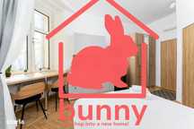 Studio Piata Victoriei | Airbnb investment