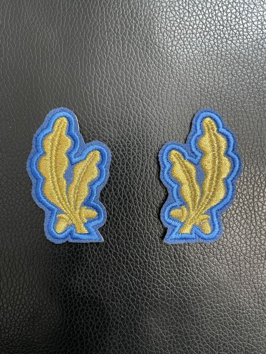 Broderie computerizata