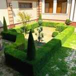 Archa kesish gazon ekish
