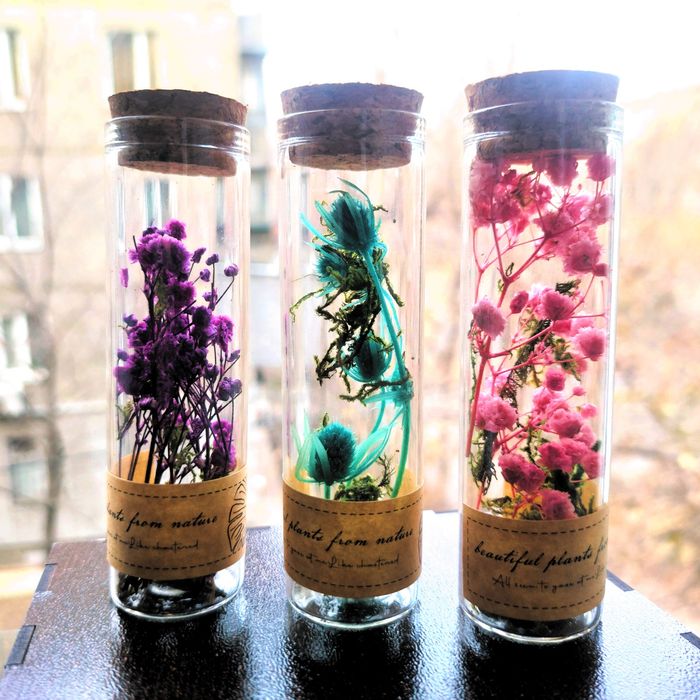 Флорариум в колбе