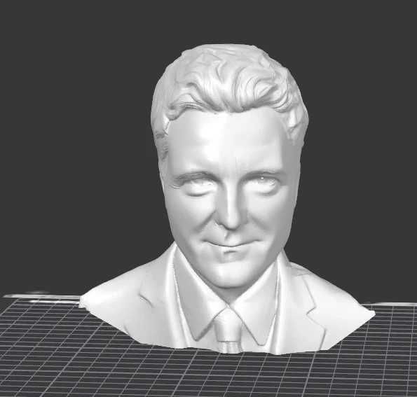 Bust Nicușor Dan