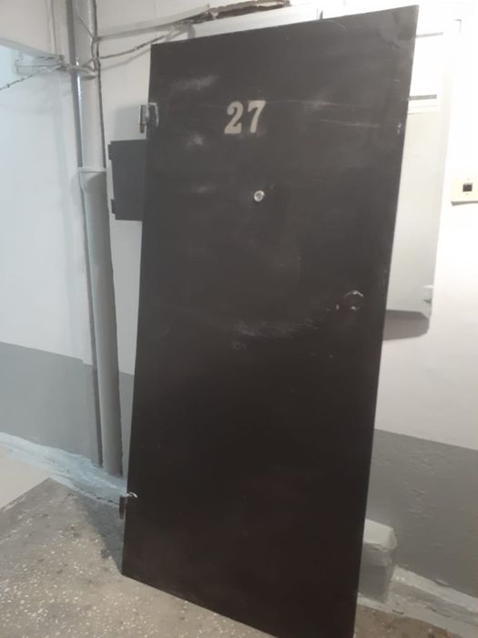 Поодам железную дверь 25.000