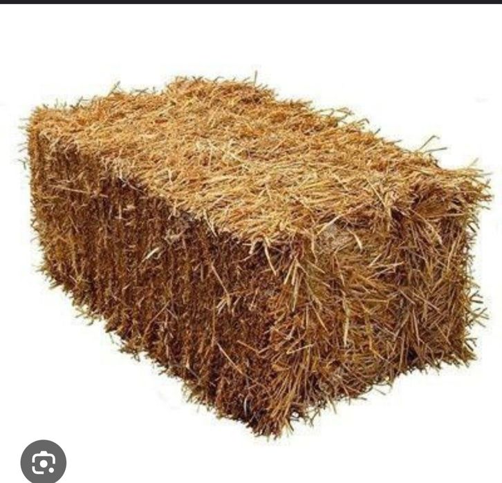 Сомон прес сотилади кукон шахар