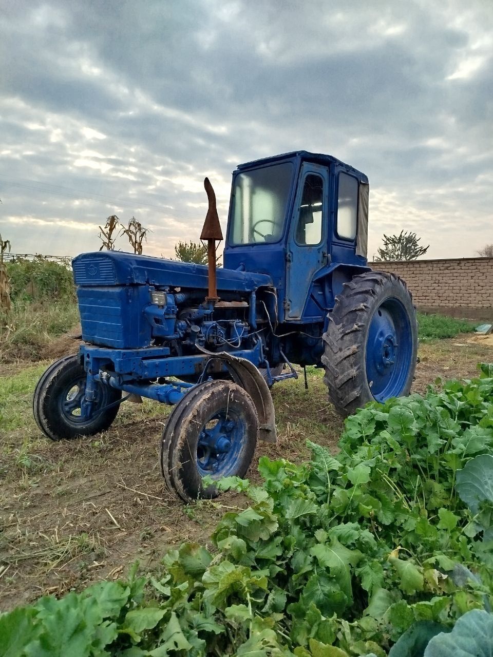 Трактор/Traktor T-28 | Ideal holatda