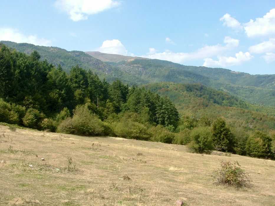 Fujifilm Finepix S3000