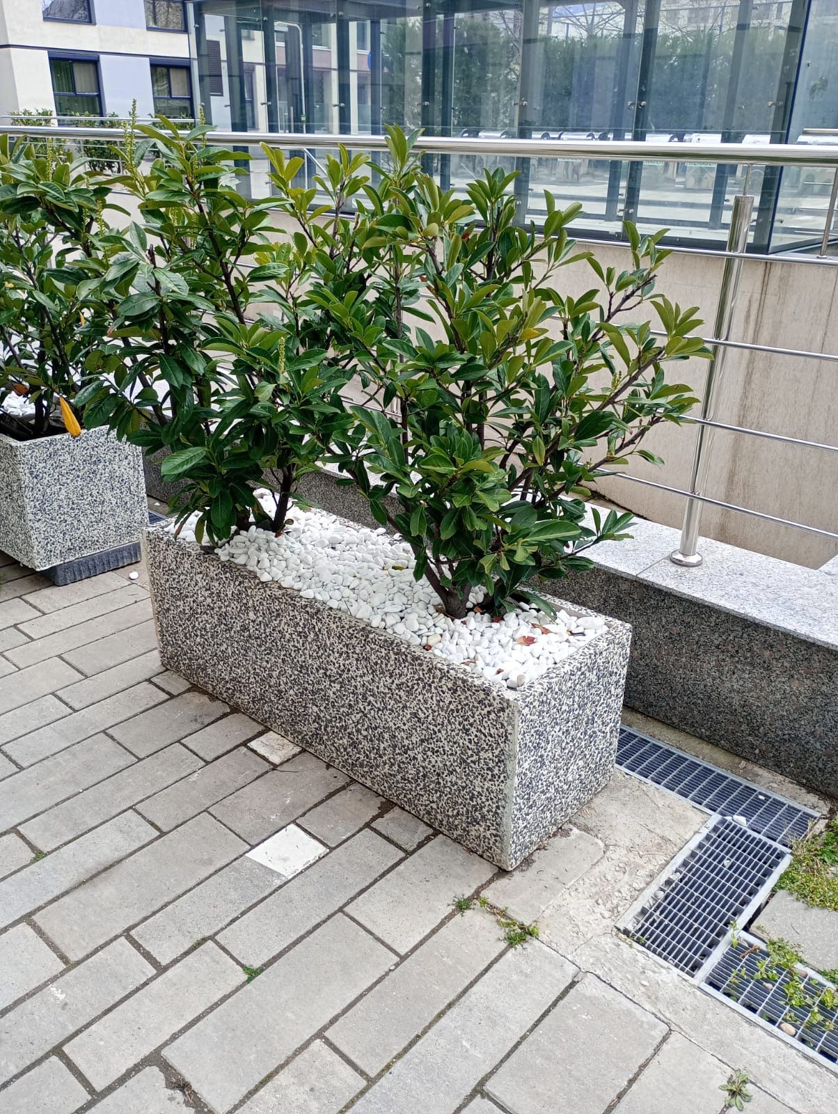 Jardiniere mozaic