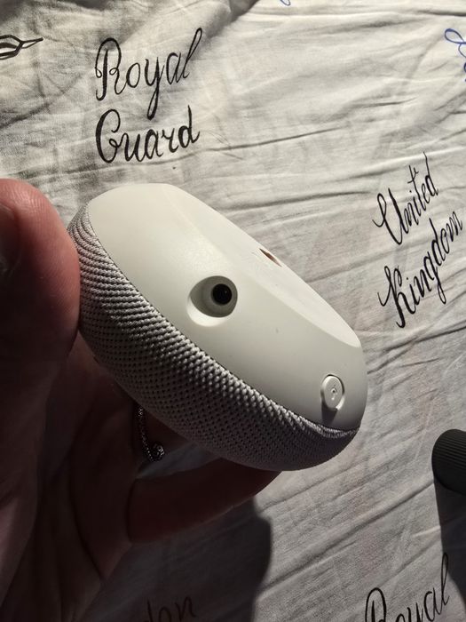 google nest mini 2 (H2C)