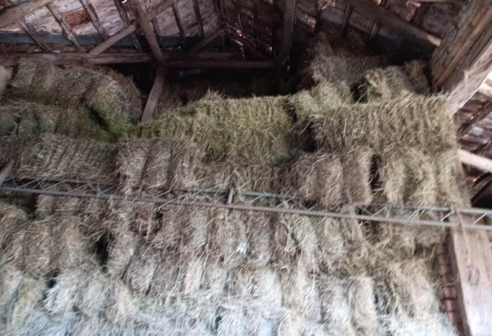 Vand 500 de baloti de fan