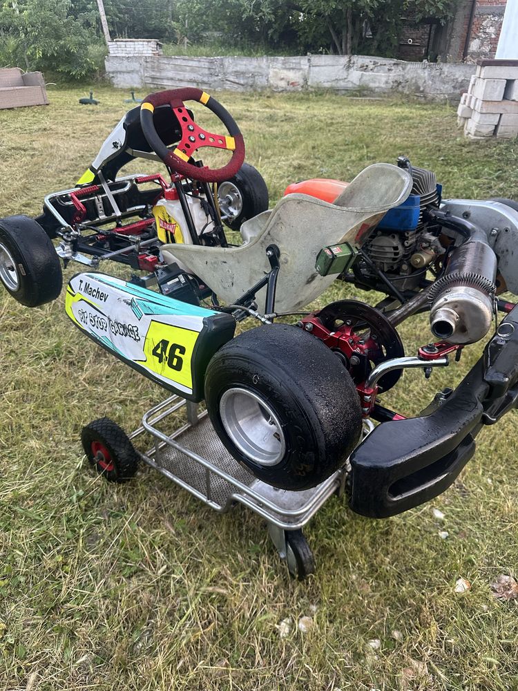 Картинг мини Wildkart Iame