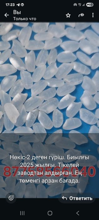 Рис в мешках. Нүкіс - 2. Сорт высший Камолино.