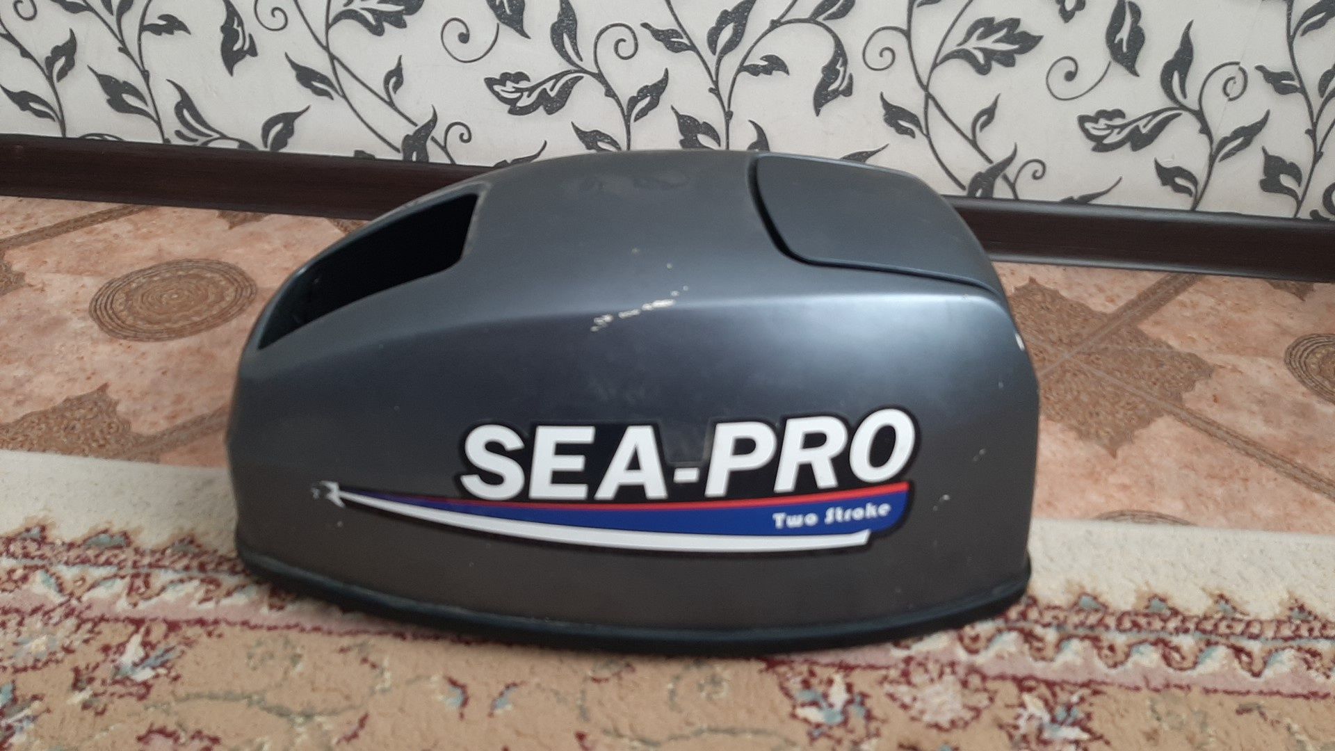 Лодка Ривьера с моторов Sea pro 9.9