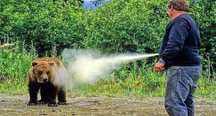 Spray autoaparare BEAR DEFENDER impotriva Ursilor,Lupilor,600 ml