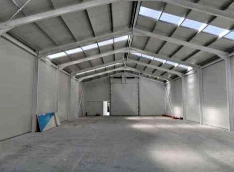 Hale si structuri metalice
