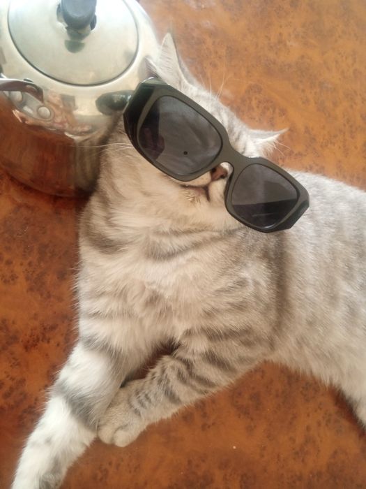 Вязкага. Насл олиш учун!!!