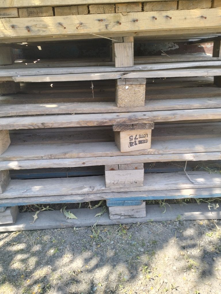 Продам поддоны е