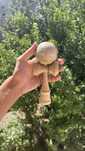 Kendama Krom Pro Model
