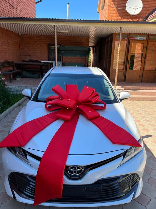 Сдается в аренду красный Бант