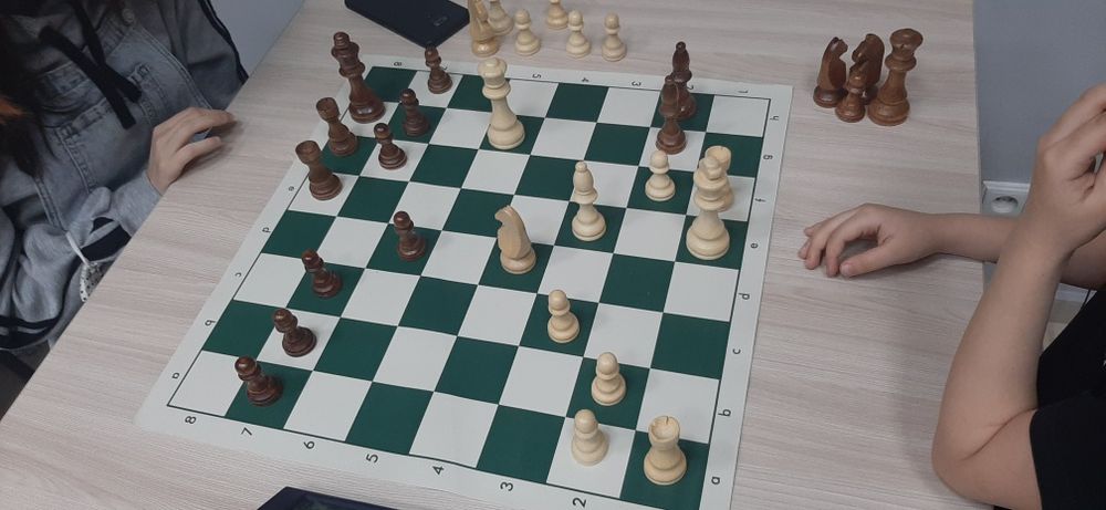 Тренер по шахматам