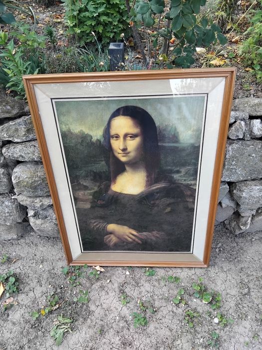 Tablouri de vânzare două bucăți 50 lei