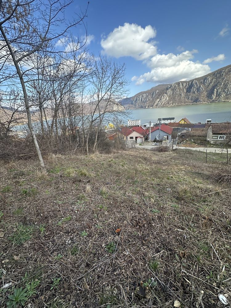 Teren intravilan Comuna Dubova