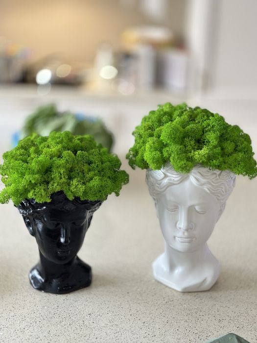 Decoratiuni cu licheni naturali