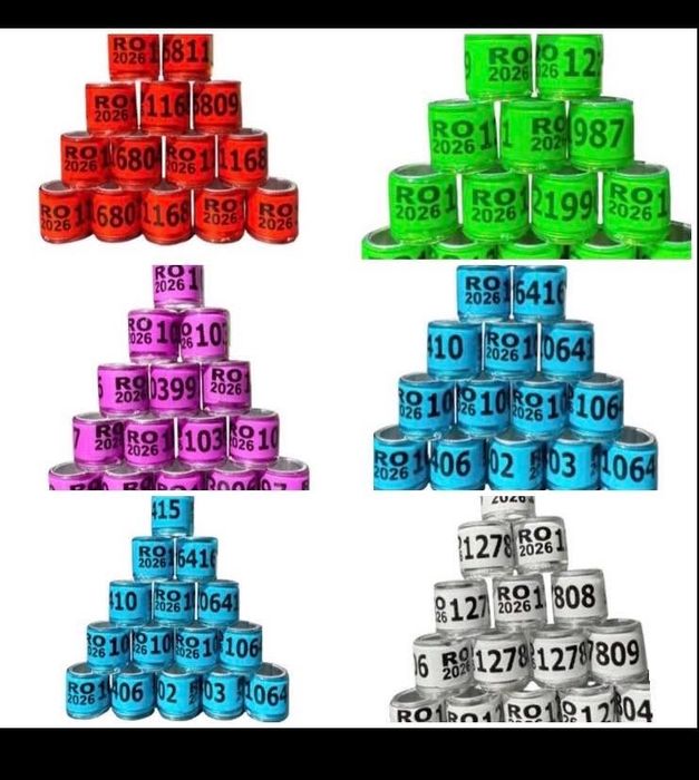 Inele 2026  1leu buc