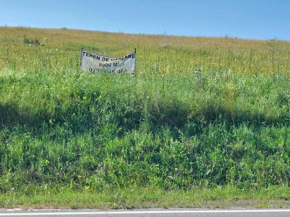 Vand 5000mp teren extravilan la iesire din Huedin catre Belis