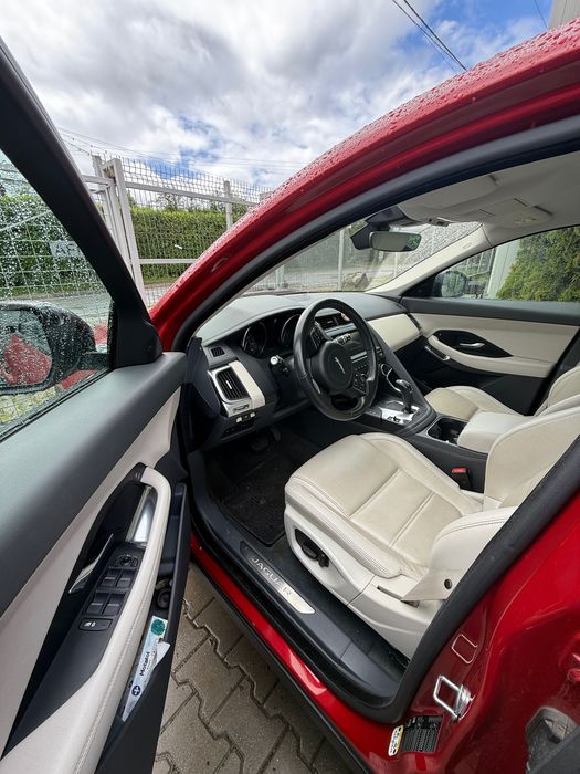 Jaguar e peace 2019