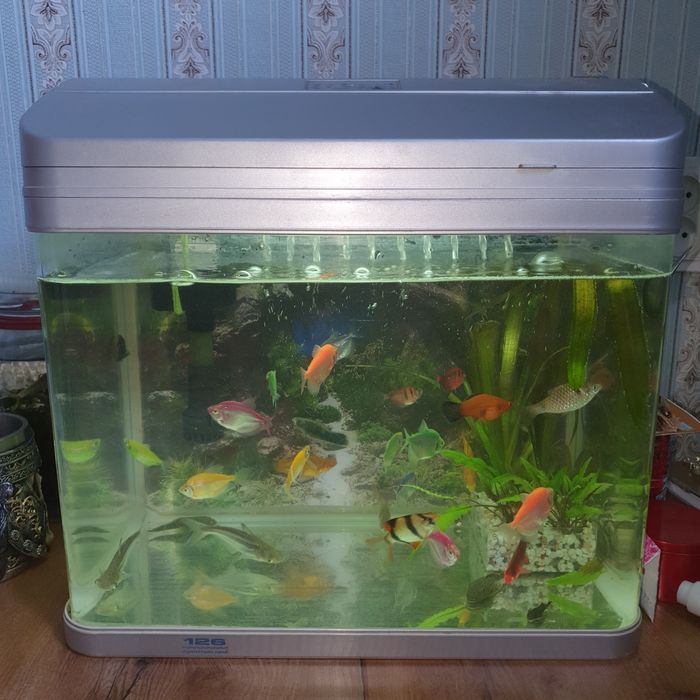 Аквариум сатылады