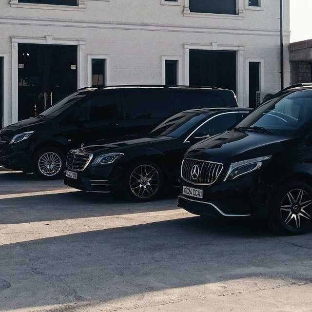 Kartej Toy Raddom vito mers
