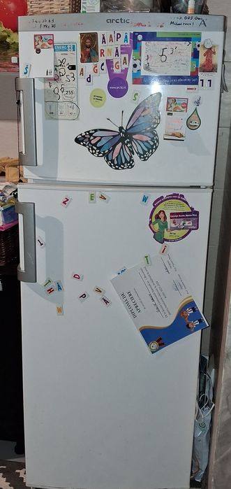 Frigider Arctic nefolosit