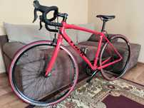 Cursiera Trek Emonda