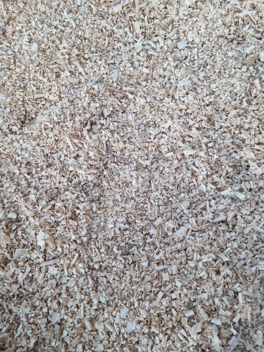 Rumegus de fag pentru afumat