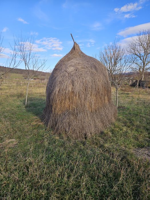 Claii de fan de vânzare