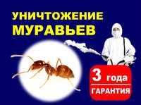 Муравьи, құмырсқа,  уничтожение муравьев дезинфекция Гарантия на 3 год
