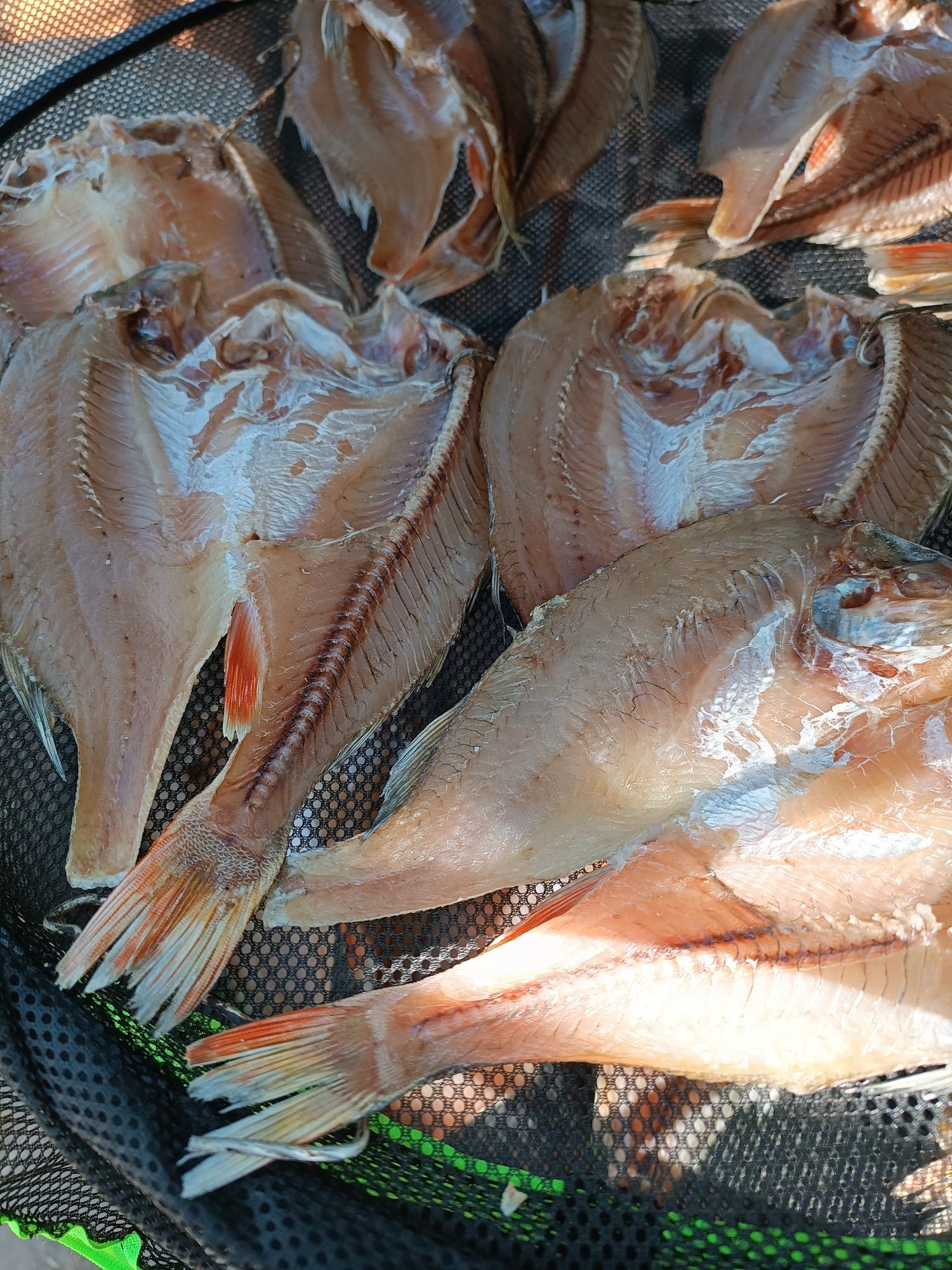 Продам копченный карась, окунь, щука, линь, чебак.