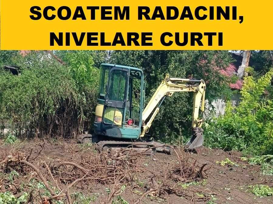 Scoatem radacini copaci, curatare si nivelare teren