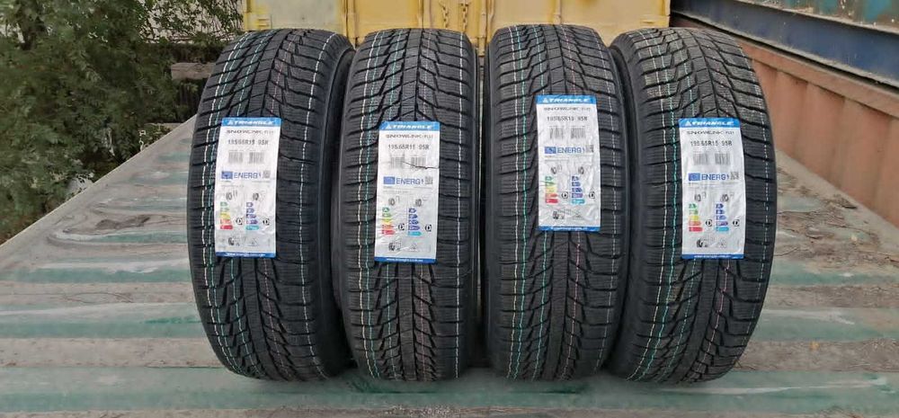 Шины в Алматы 195/65/15 Triangle PL01 (95R)