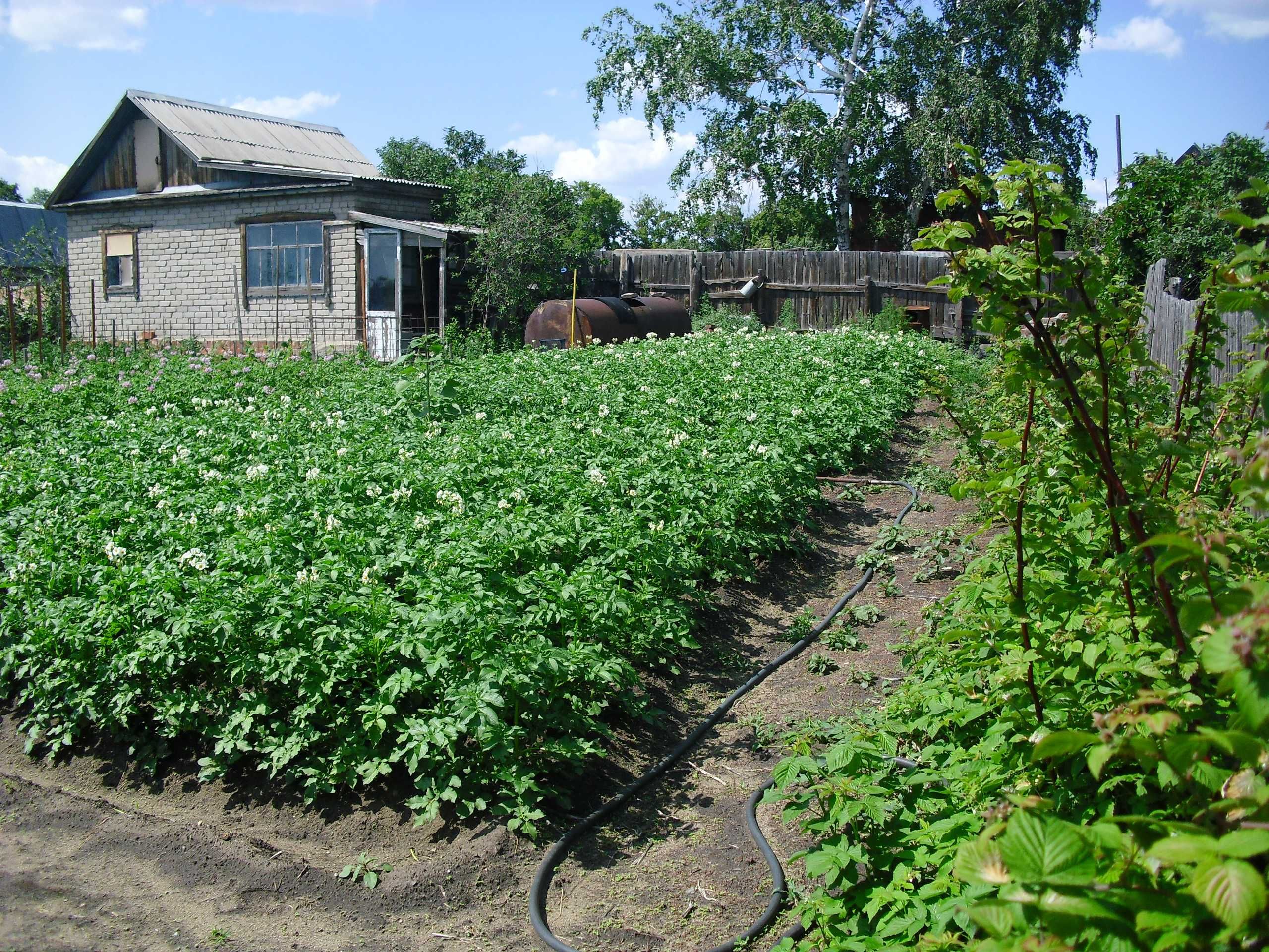 Продам дачу 1 общество