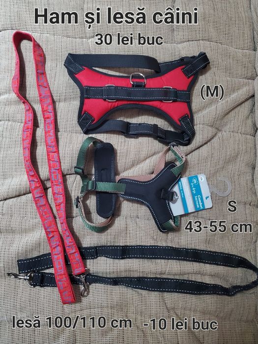 Ham,haine,lesă câini