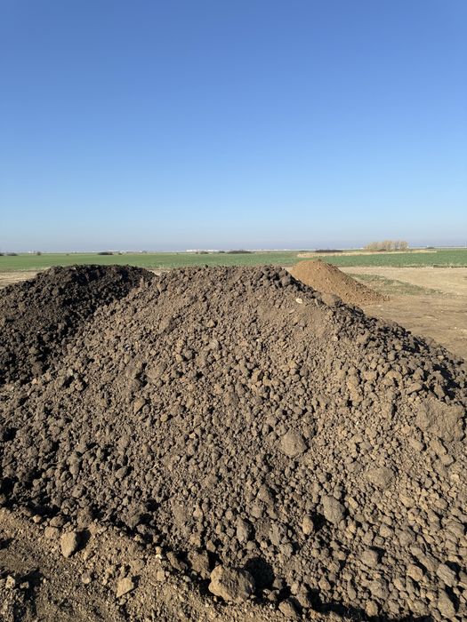 Mraniță naturala , pământ negru