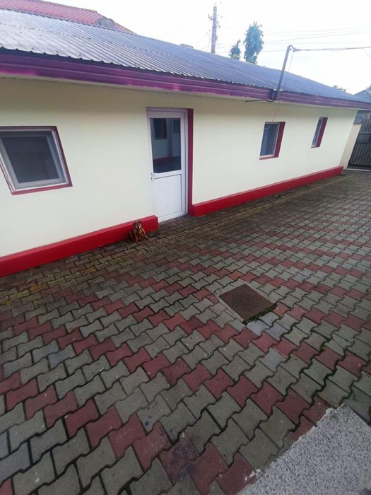Casa de Inchiriat - Rosiorii de Vede - Direct Propietar