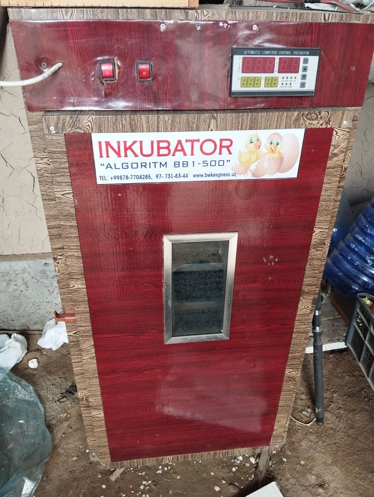 Inkubator,инкубатор